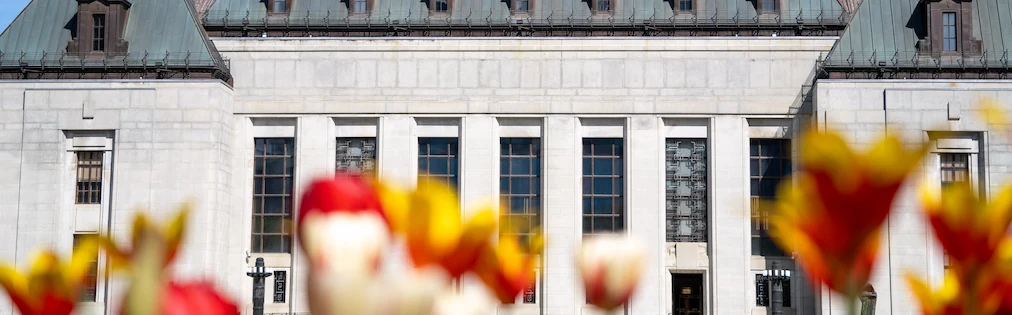 Des tulipes devant l’édifice de la Cour suprême du Canada