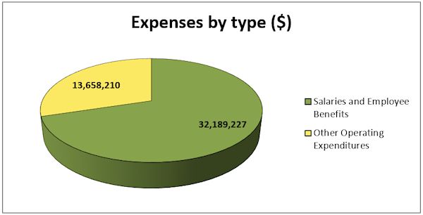 Expenses by Type (in dollars)