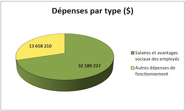 Dépenses par type (dollars)