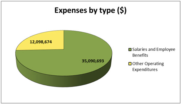 Expenses by Type (in dollars)