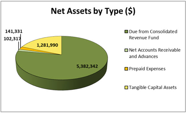 Net Assets by Type (in dollars)