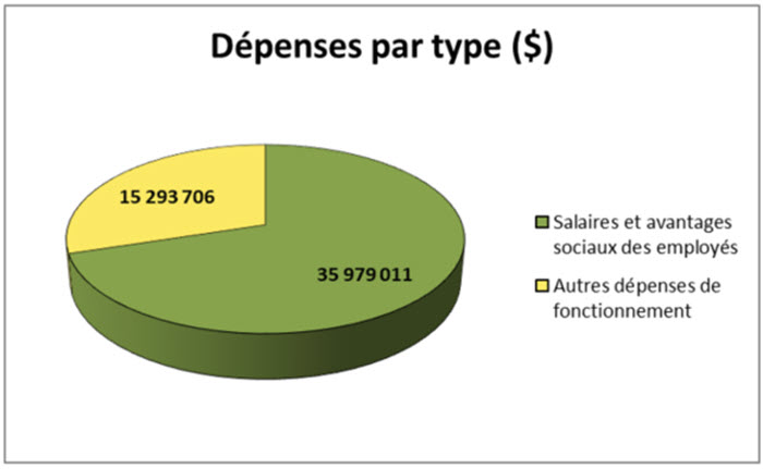 Dépenses par type (dollars)