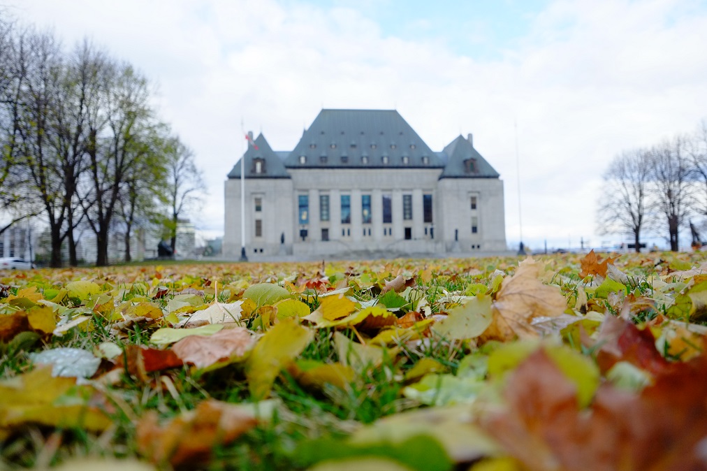 The Supreme Court of Canada building with fall leaves on the ground